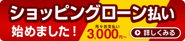 ショッピングローン払い始めました！